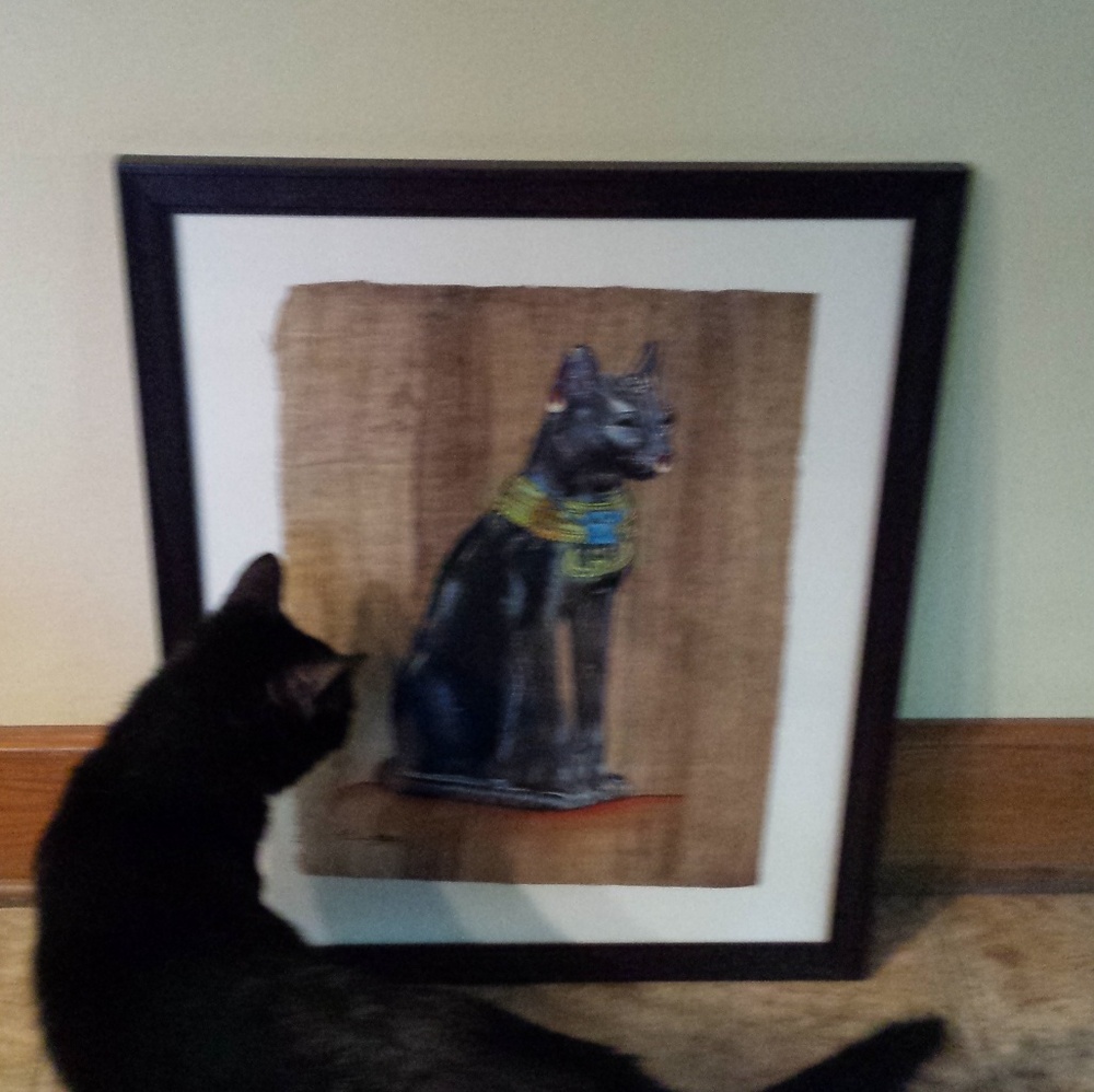 Meet your Posher, Joyce